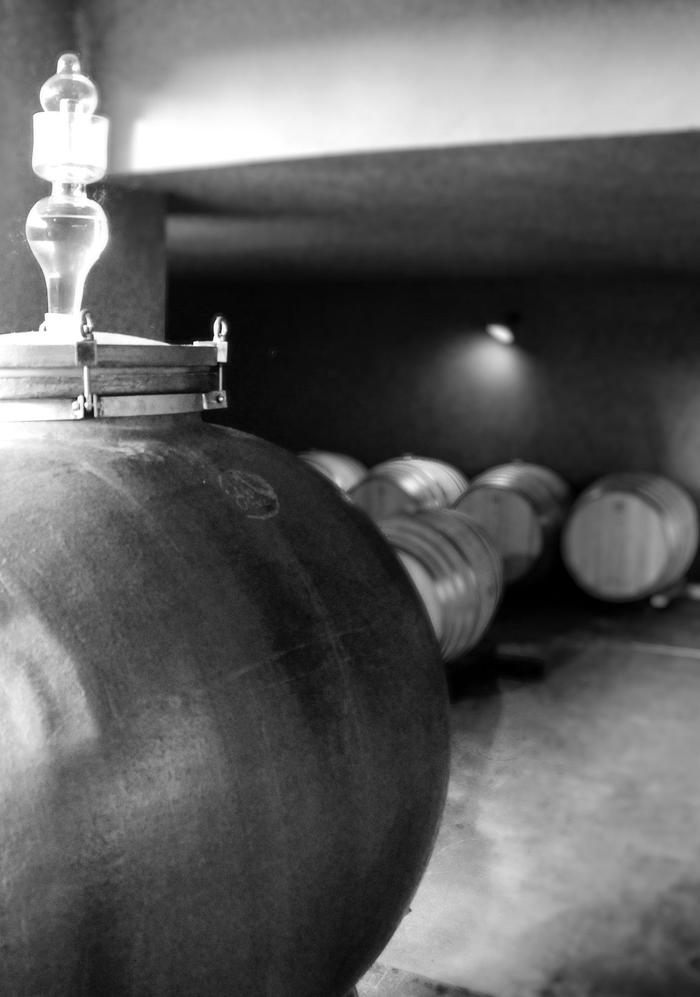 conseil oenologique vigneron viticulteur narbonne